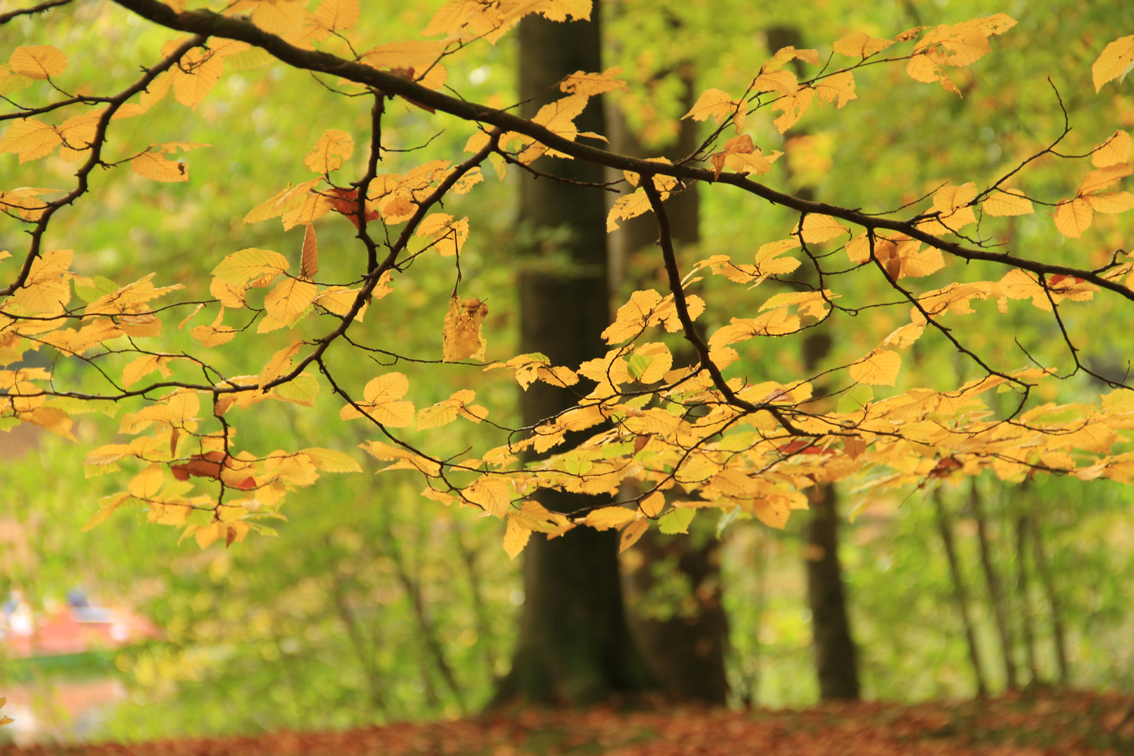 Der Herbst ist da!