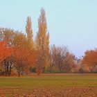 Der Herbst ist da