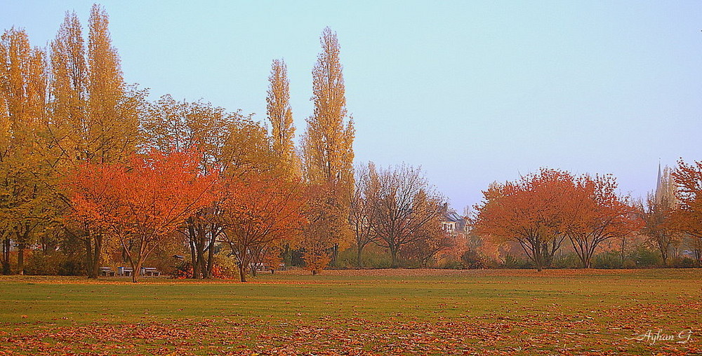 Der Herbst ist da