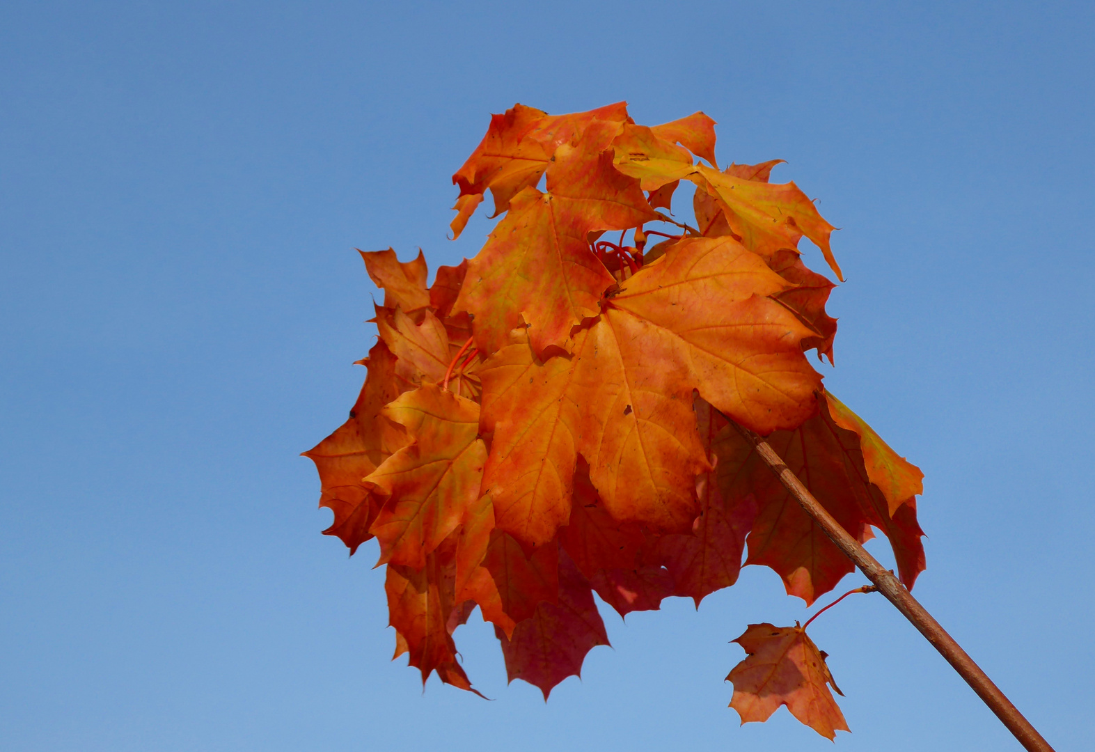 Der Herbst ist da