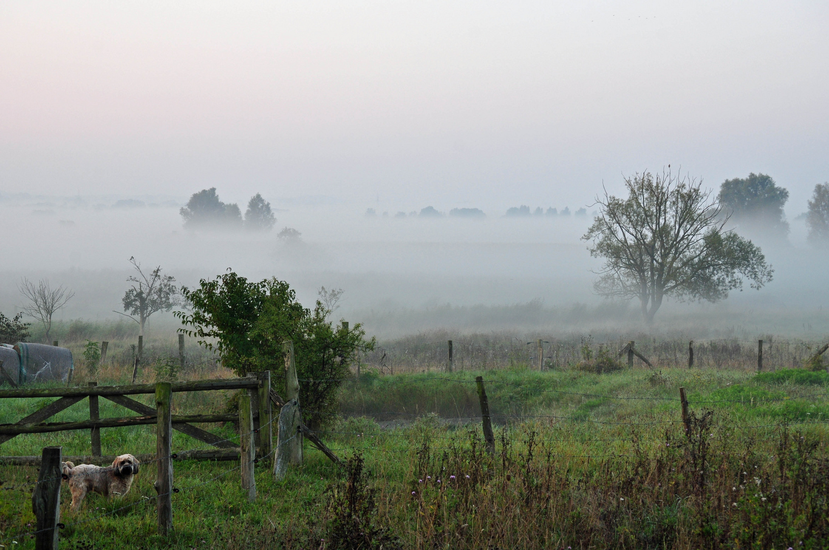 Der Herbst ist da