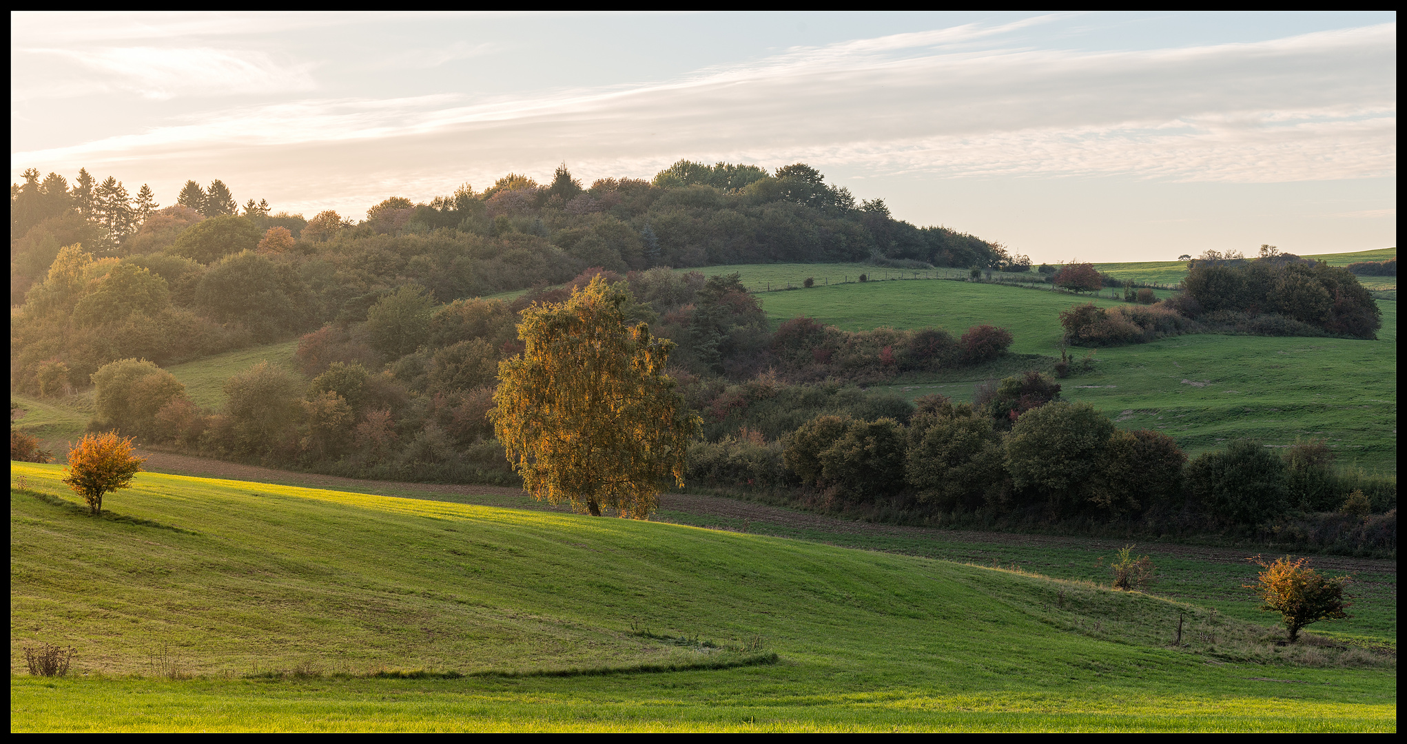 Der Herbst ist da