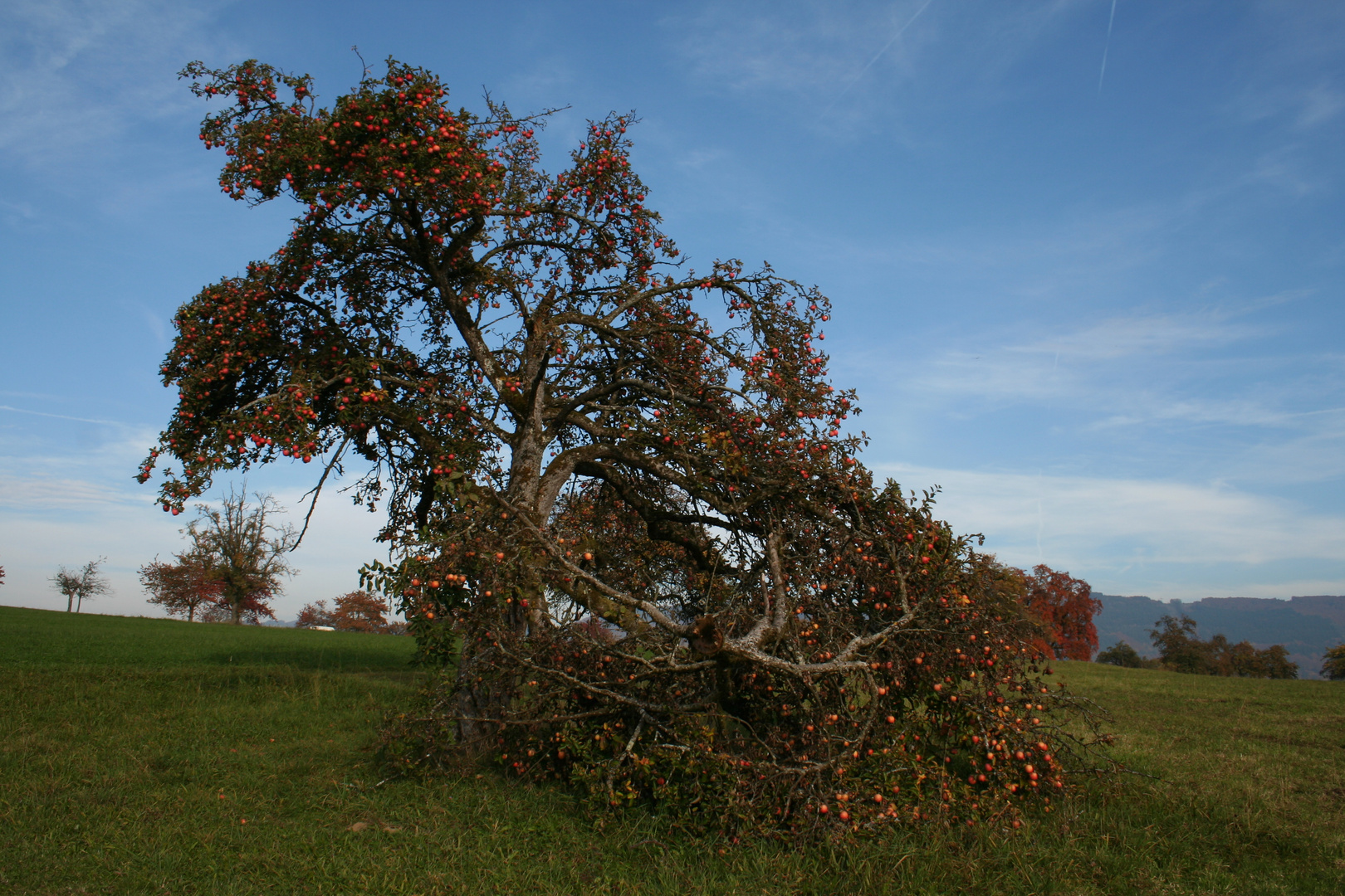 Der Herbst ist da