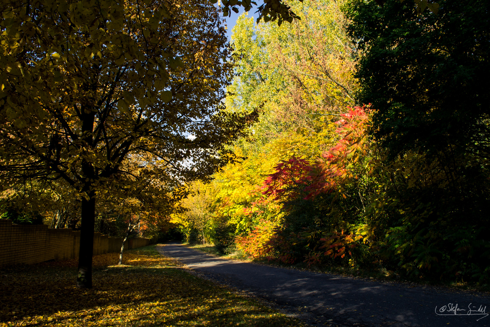 ...der Herbst ist da...