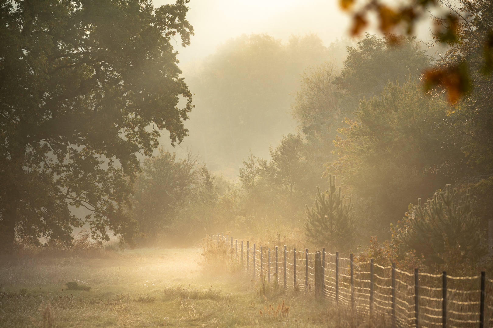 Der Herbst ist da