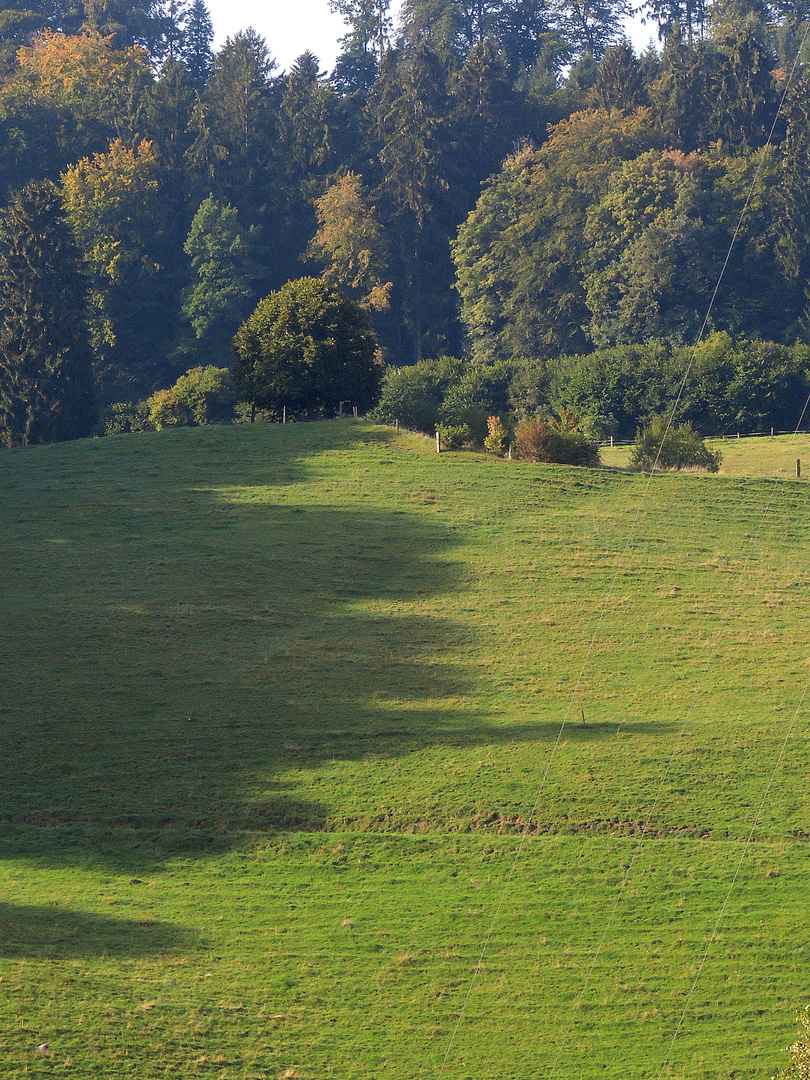 Der Herbst ist da!