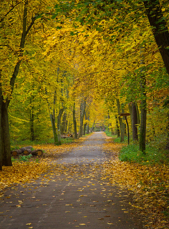 Der Herbst ist da