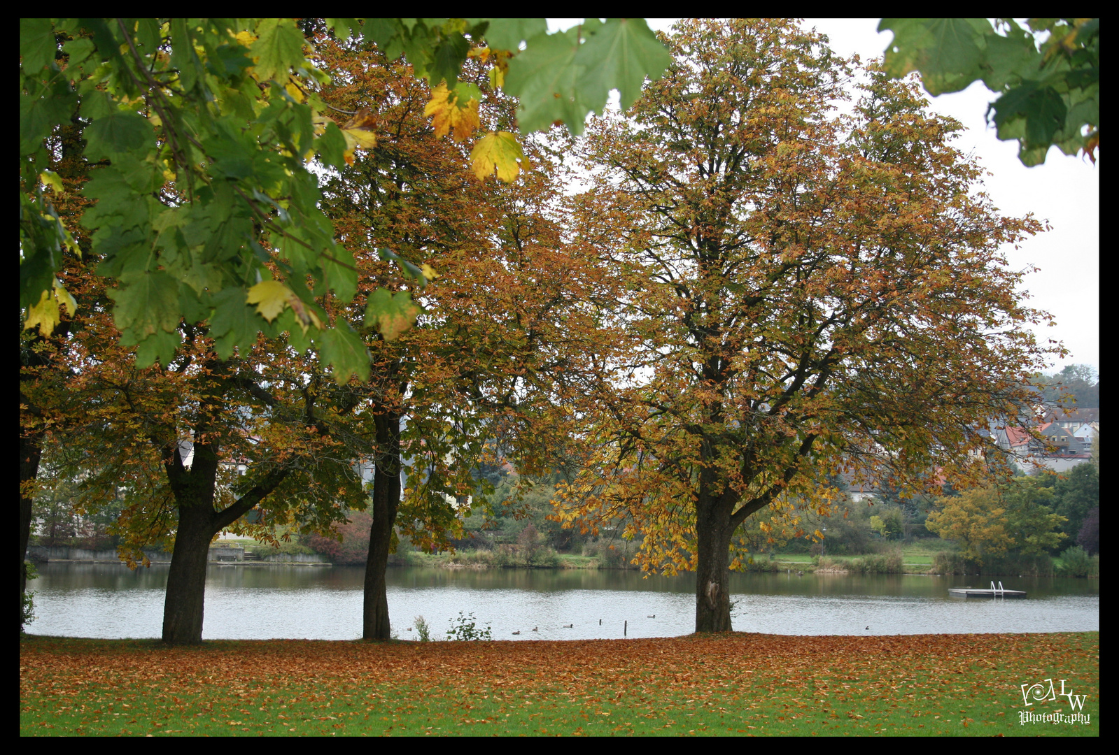 Der Herbst ist da