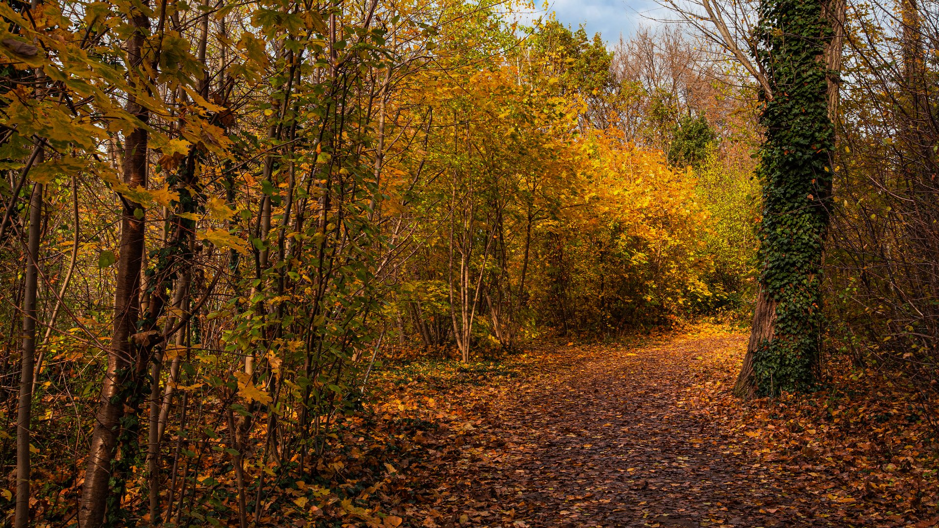 DER HERBST IST DA