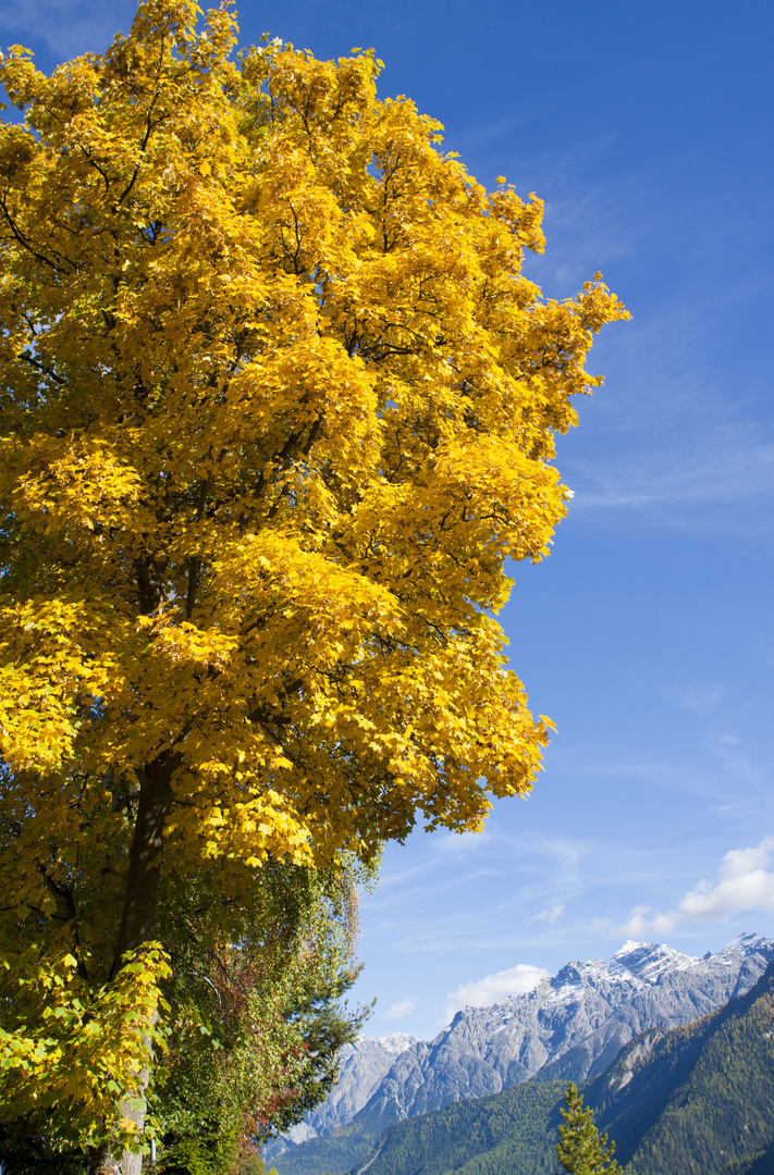 der Herbst ist da