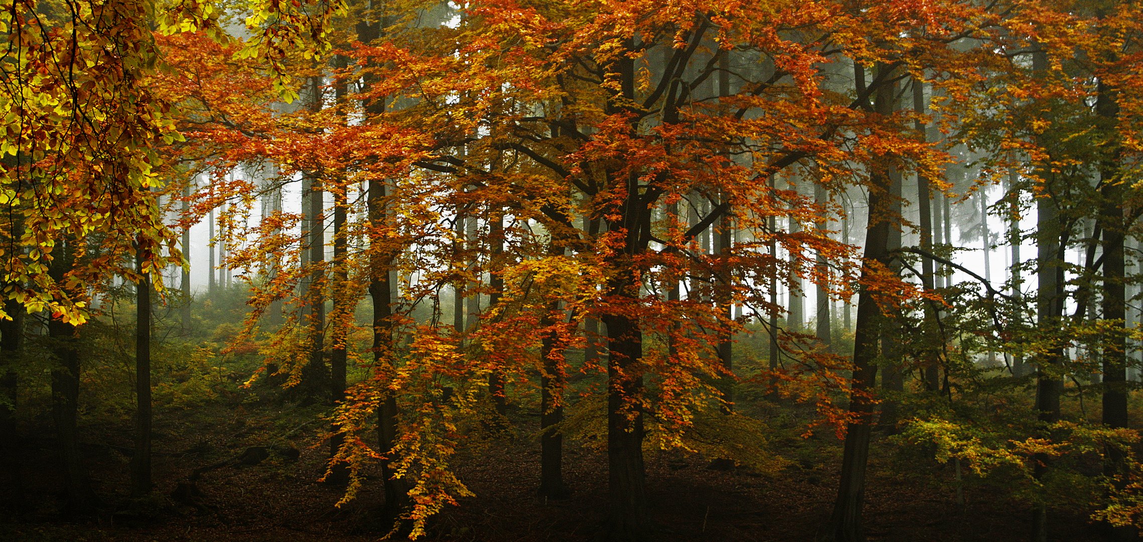 Der Herbst ist da... 