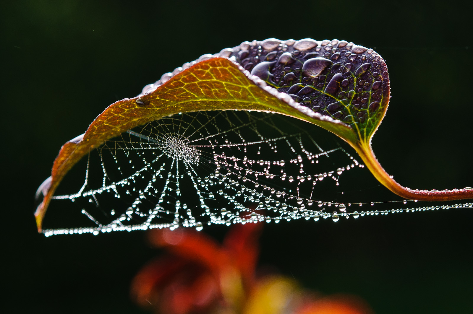 Der Herbst ist da