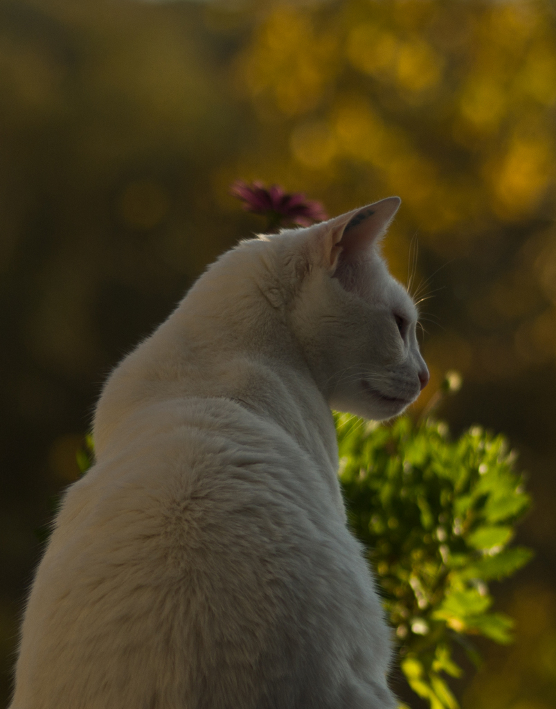 der-Herbst-ist-da