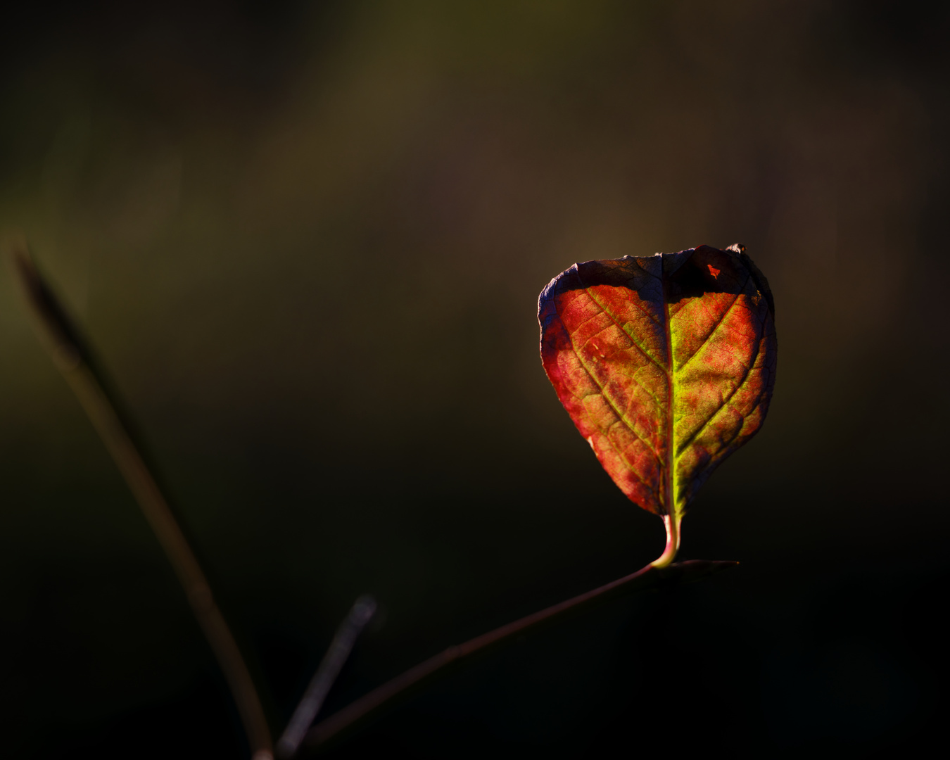 Der Herbst ist da