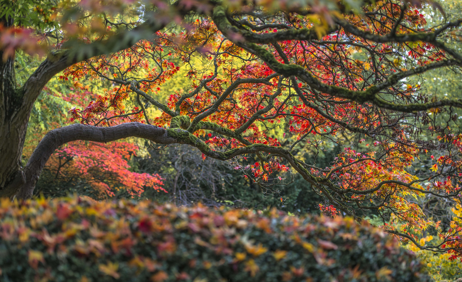 Der Herbst ist da