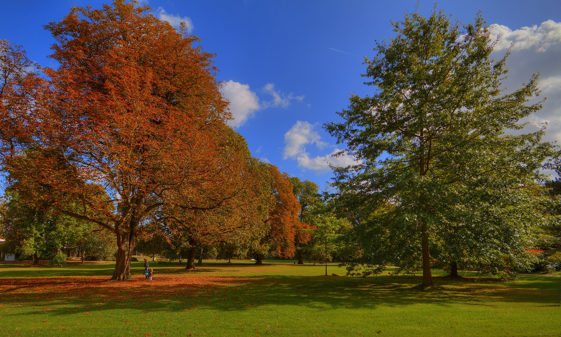 Der Herbst ist da