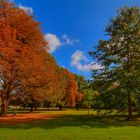 Der Herbst ist da