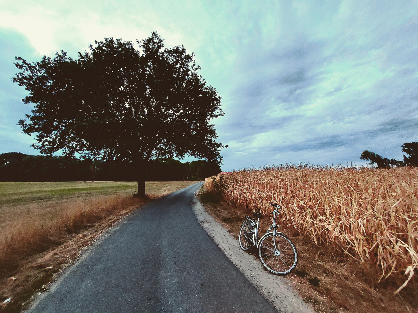 DER HERBST IST DA...