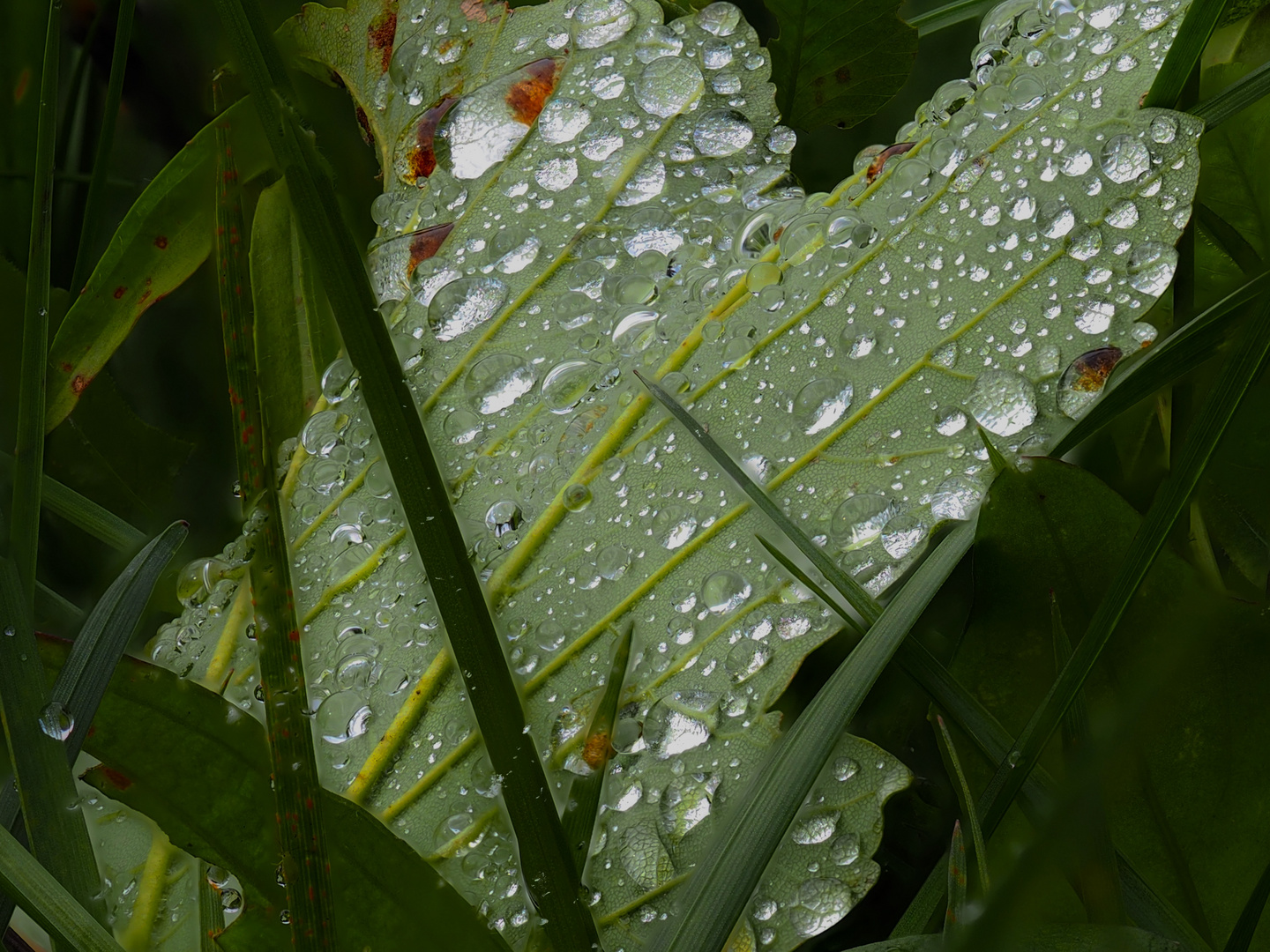 ...der Herbst ist da!