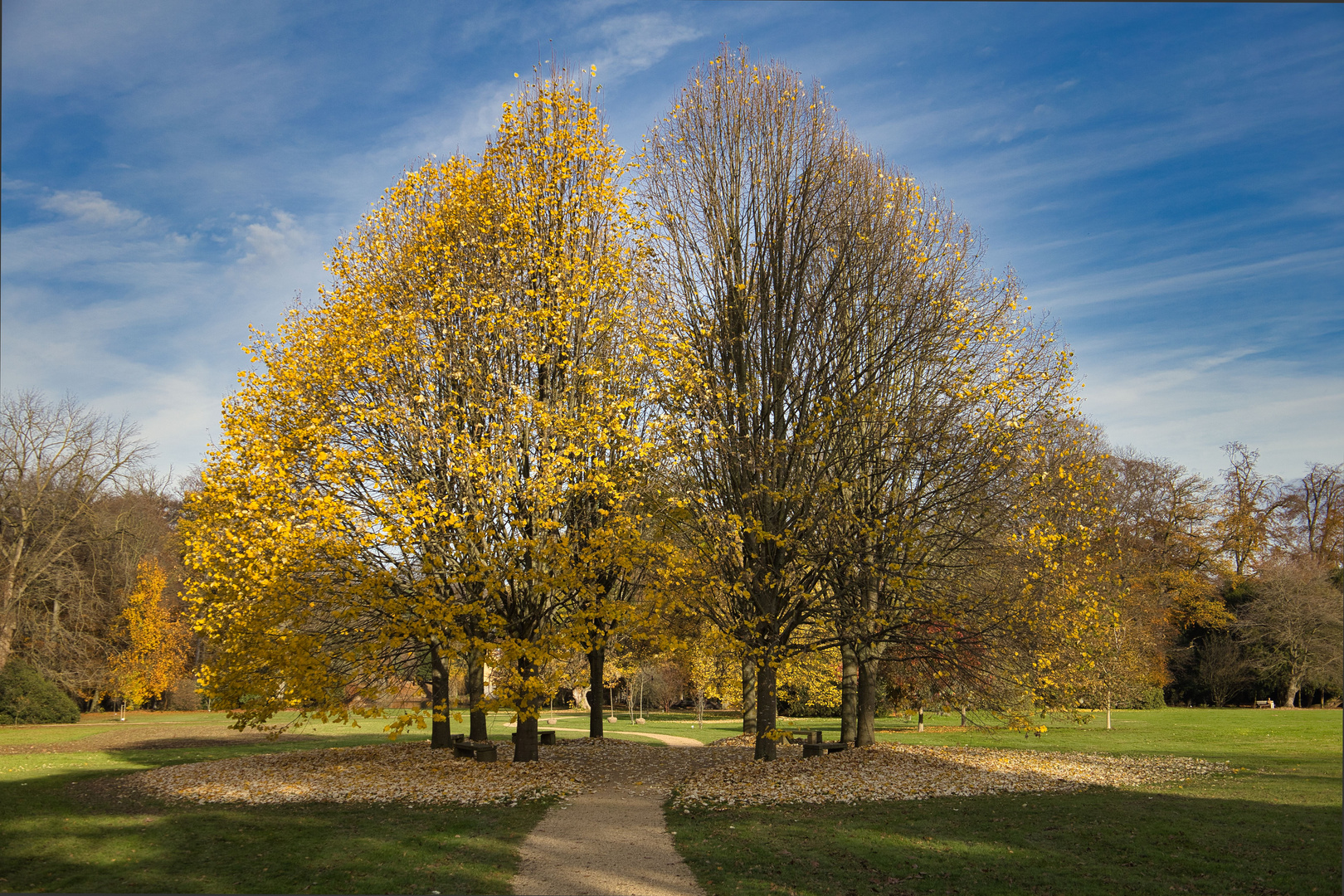 Der Herbst ist da