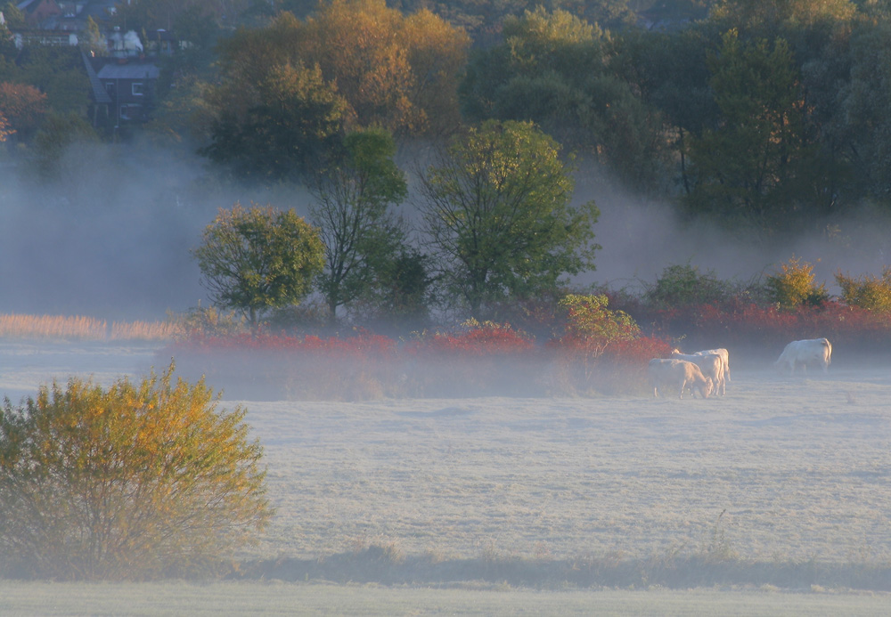 Der Herbst ist da