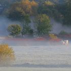 Der Herbst ist da