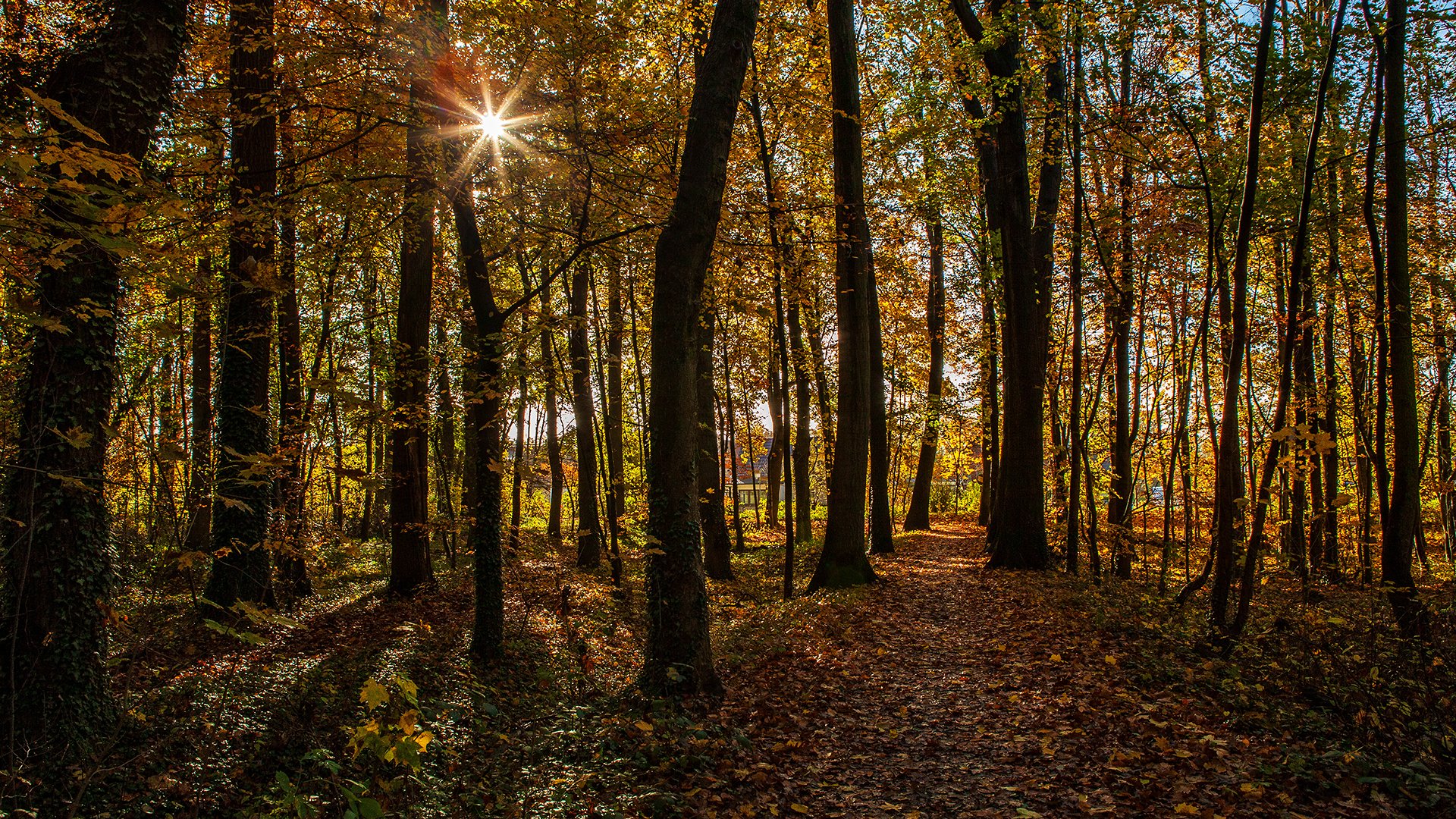 Der Herbst ist da