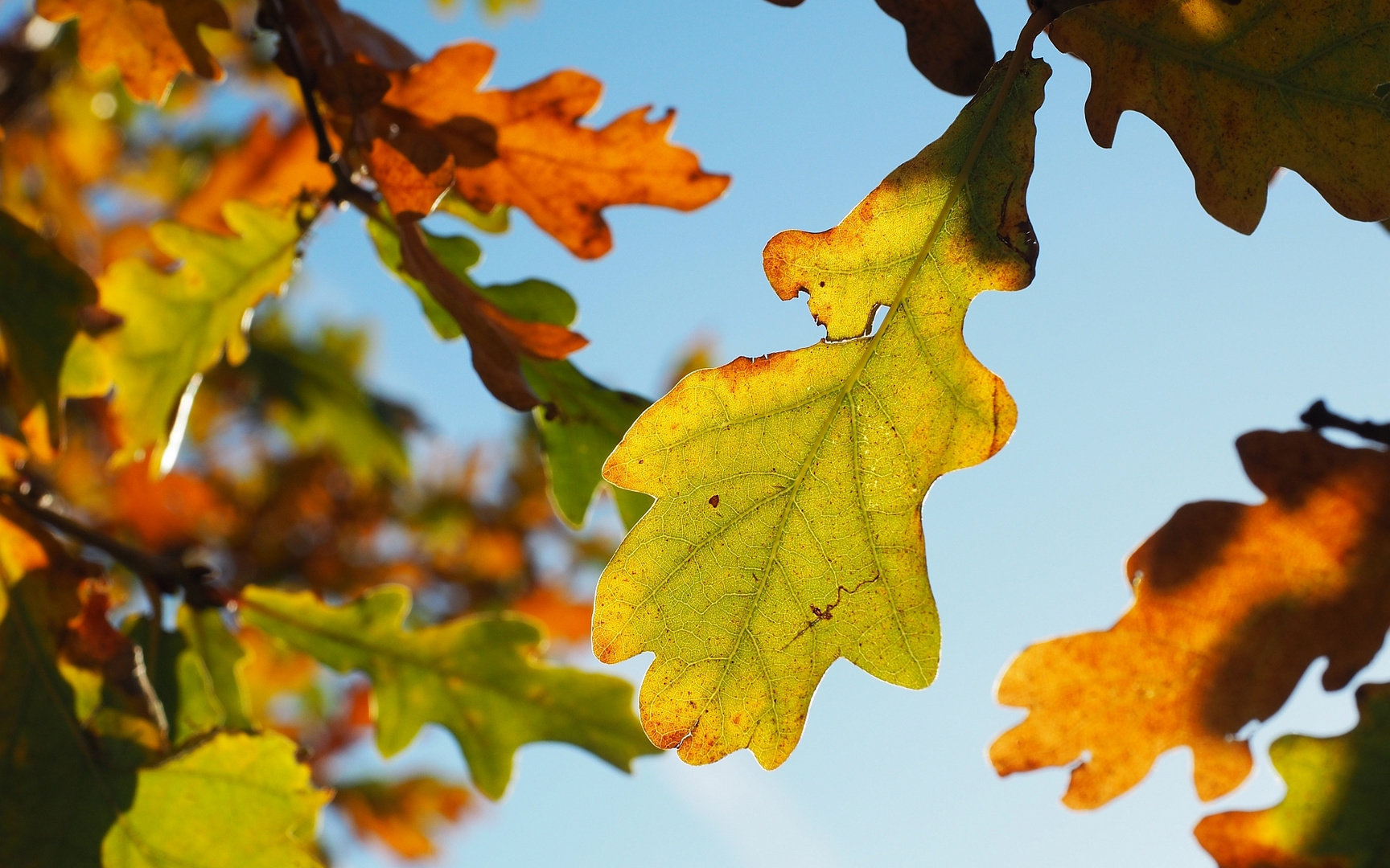 Der Herbst ist da