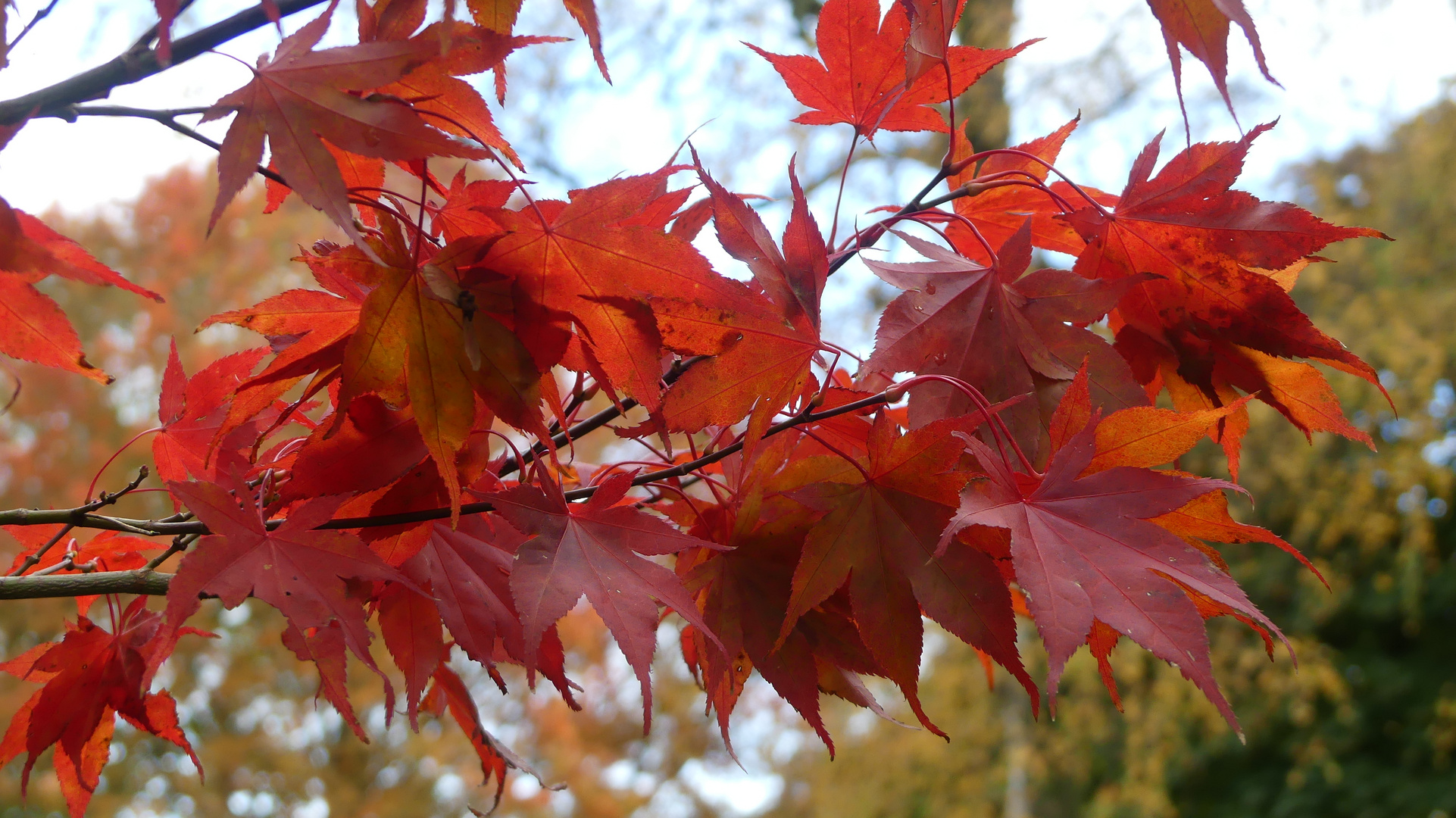 Der Herbst ist da