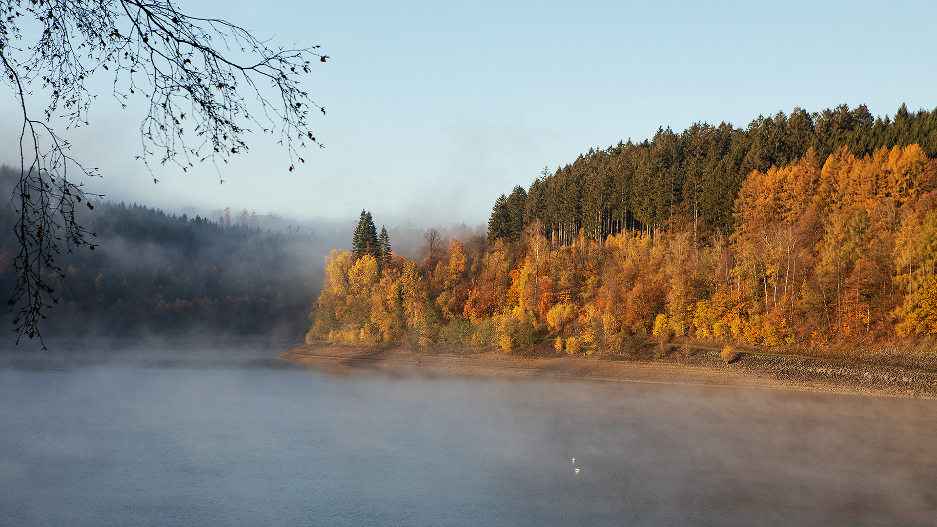 Der Herbst ist da