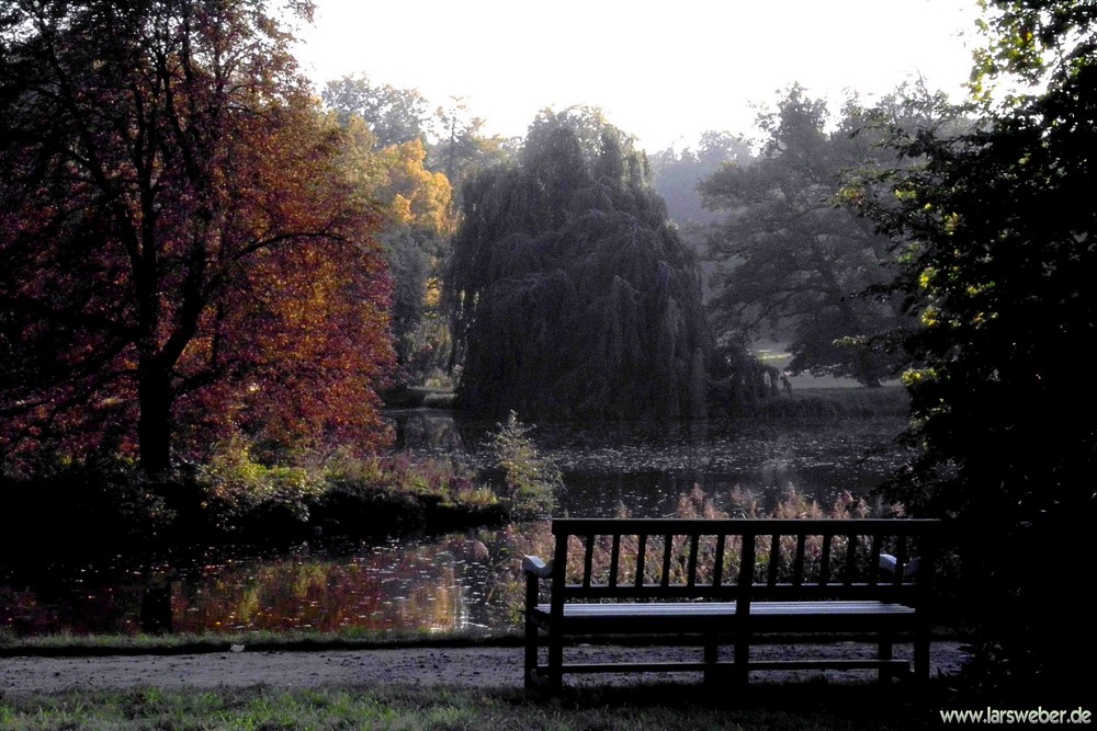 Der Herbst ist da - Abendblick in den Schloßpark Wiesenburg