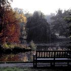 Der Herbst ist da - Abendblick in den Schloßpark Wiesenburg
