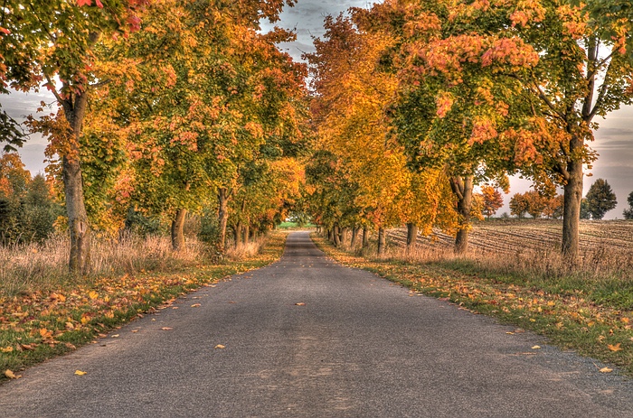 der Herbst ist da