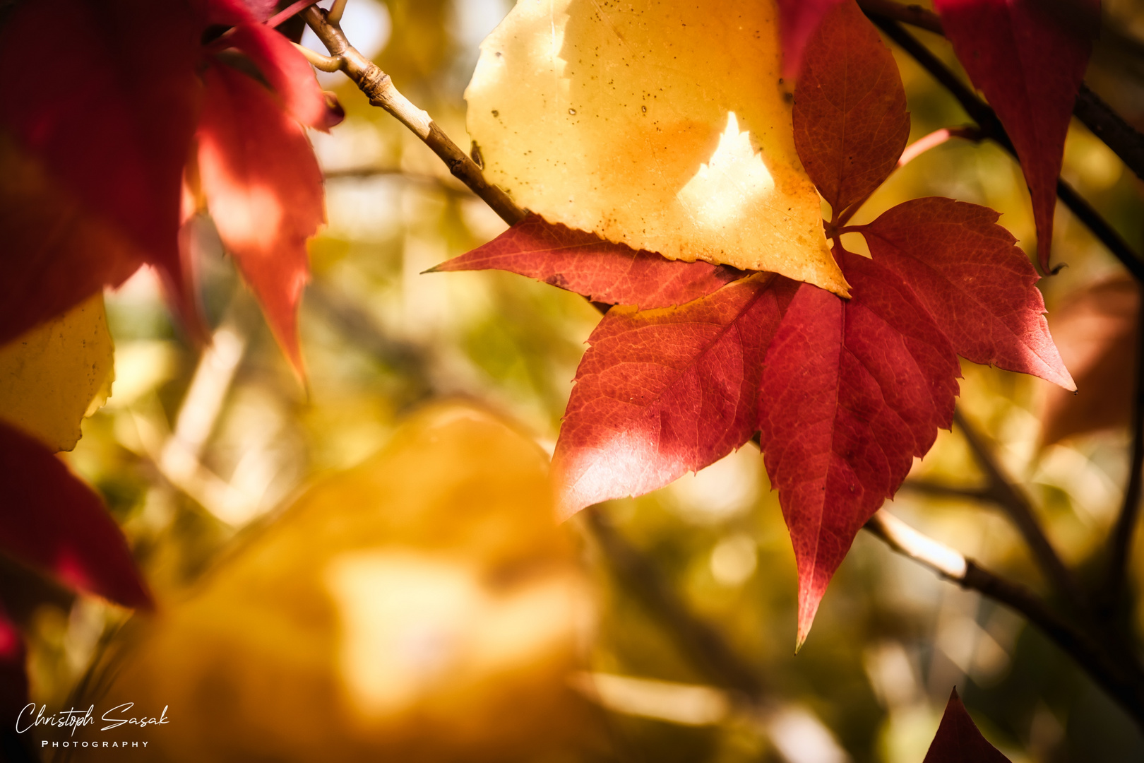 Der Herbst ist da