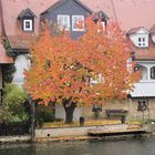 Der Herbst ist da