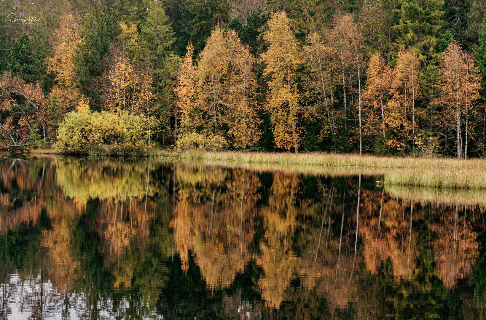 Der Herbst ist da