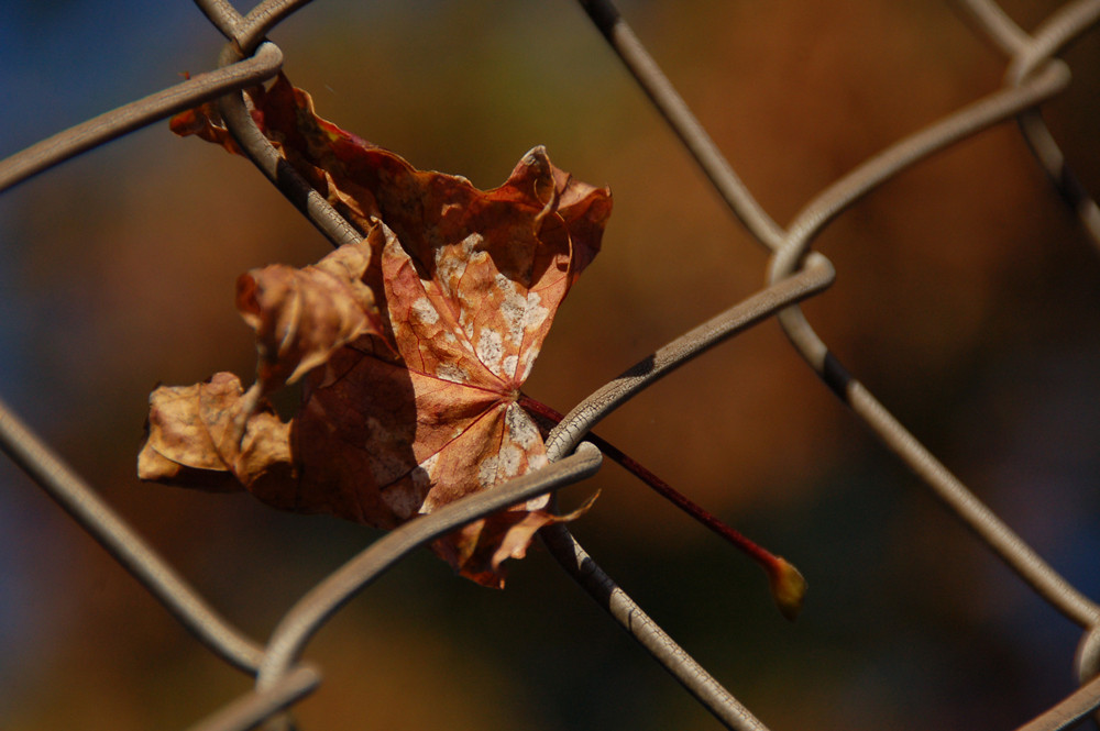 Der Herbst ist da!