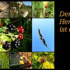 Der Herbst ist da.....