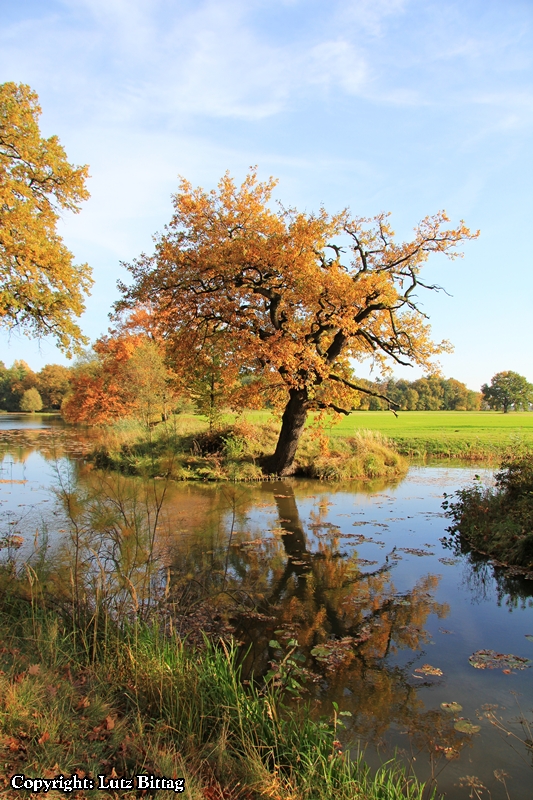 Der Herbst ist da