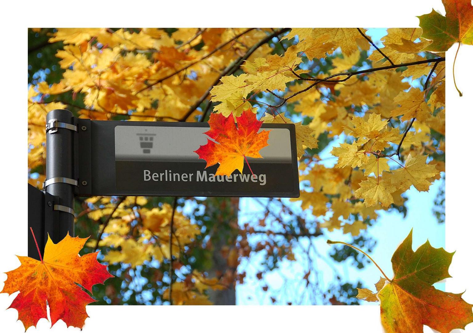 der Herbst ist da Foto &amp; Bild jahreszeiten, herbst, berlin Bilder