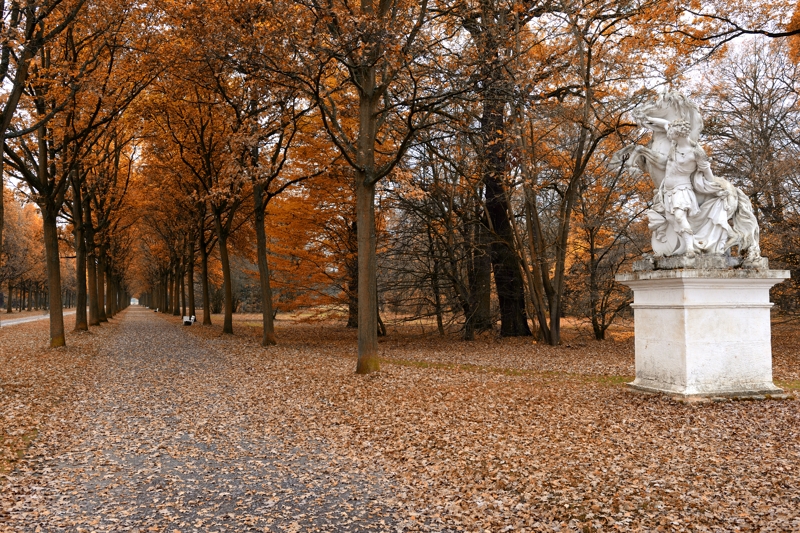 Der Herbst ist da