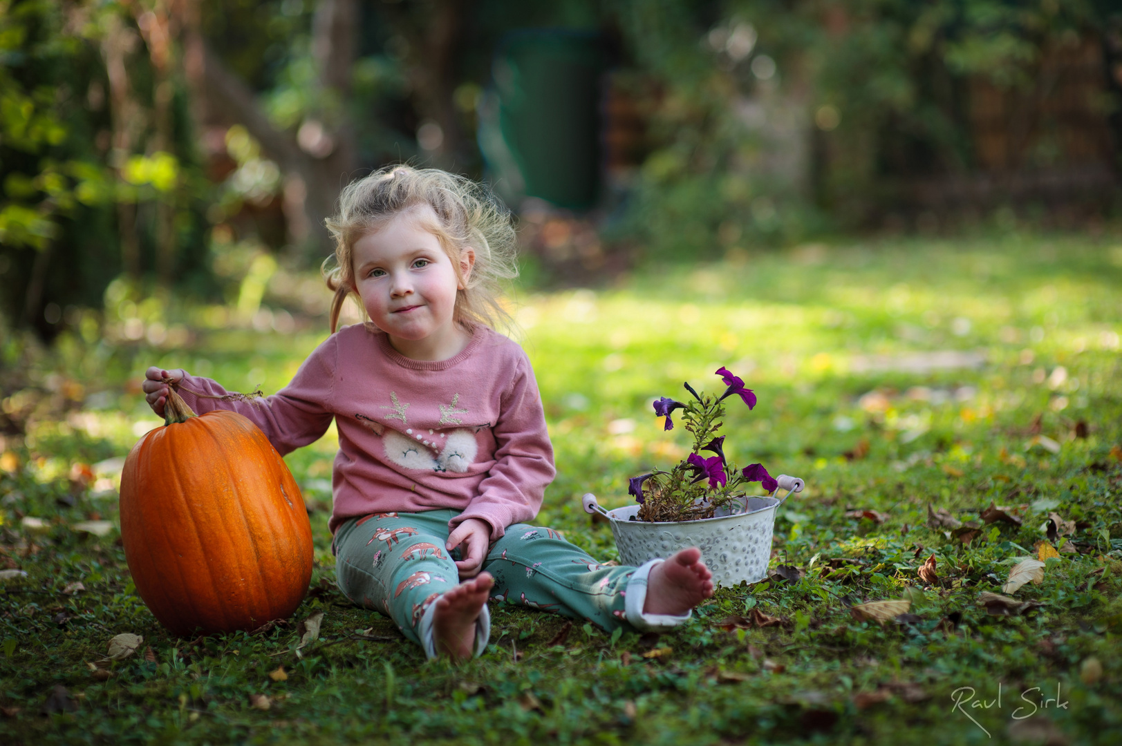 Der Herbst ist da