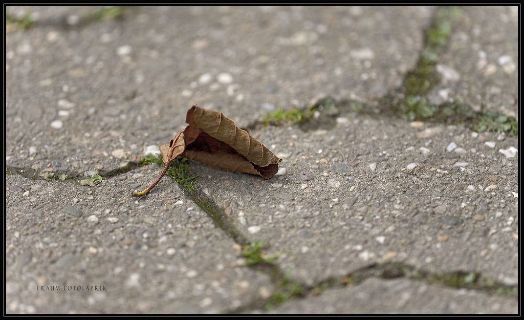 Der Herbst ist da