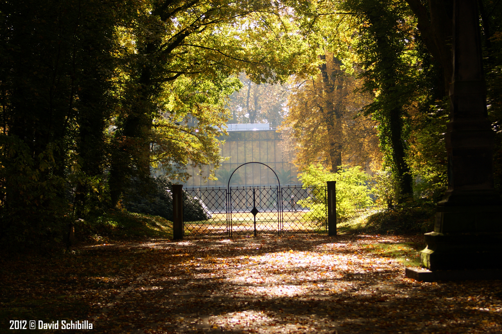 Der Herbst ist da