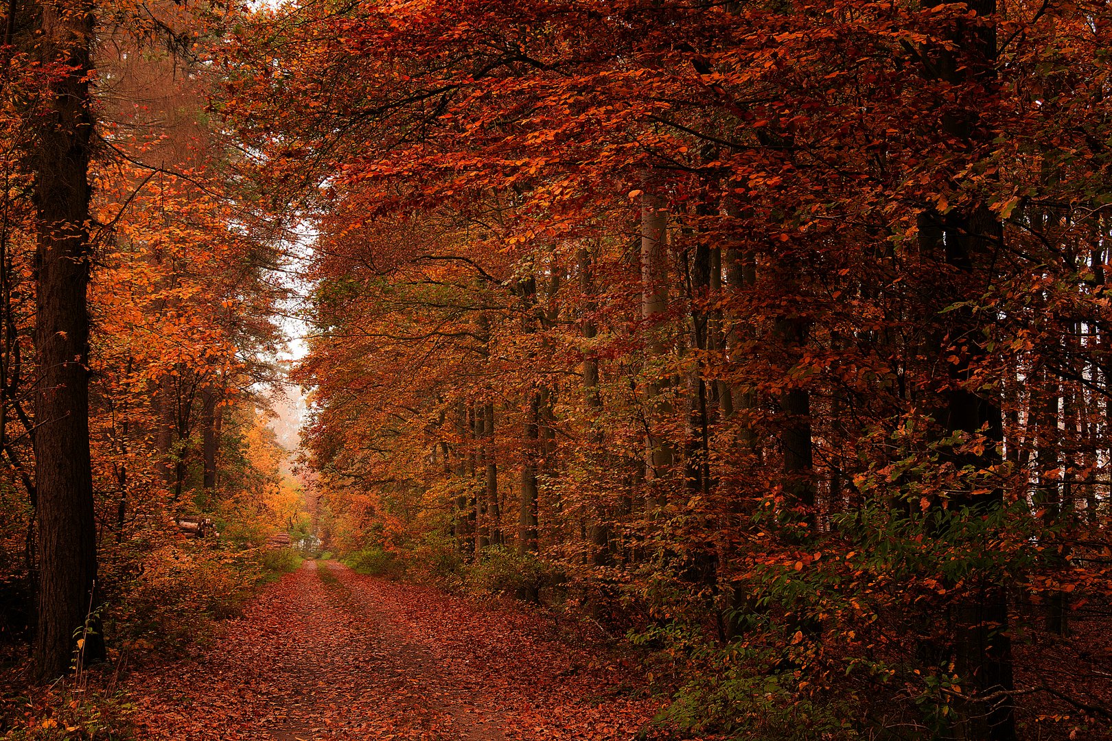 Der Herbst ist da