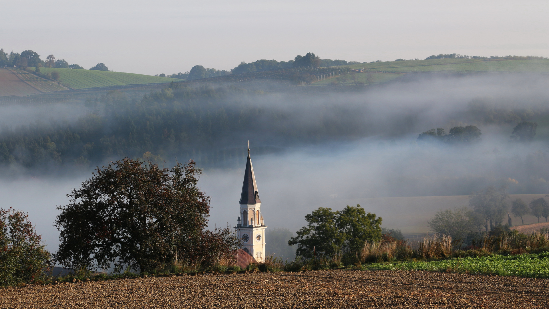 Der Herbst ist da