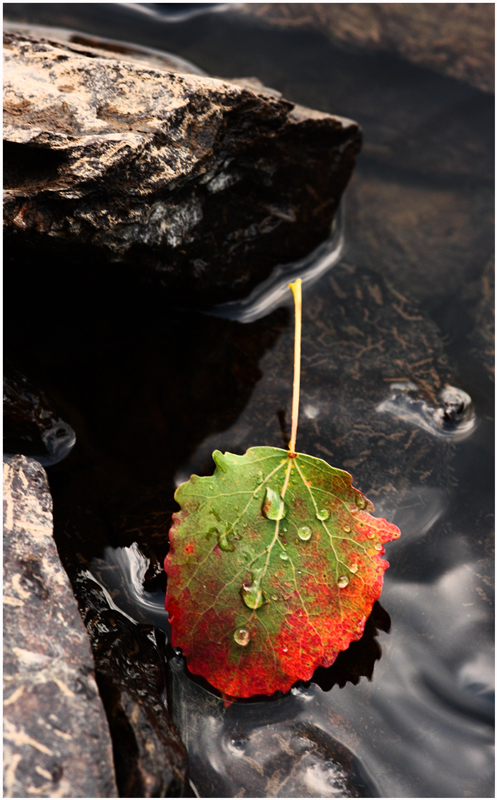 ... der Herbst ist da :-)