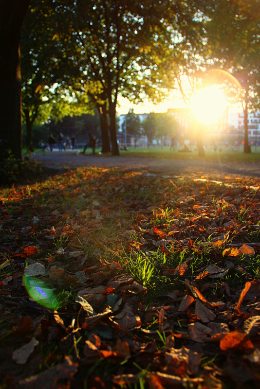 Der Herbst ist DA! Hurra!