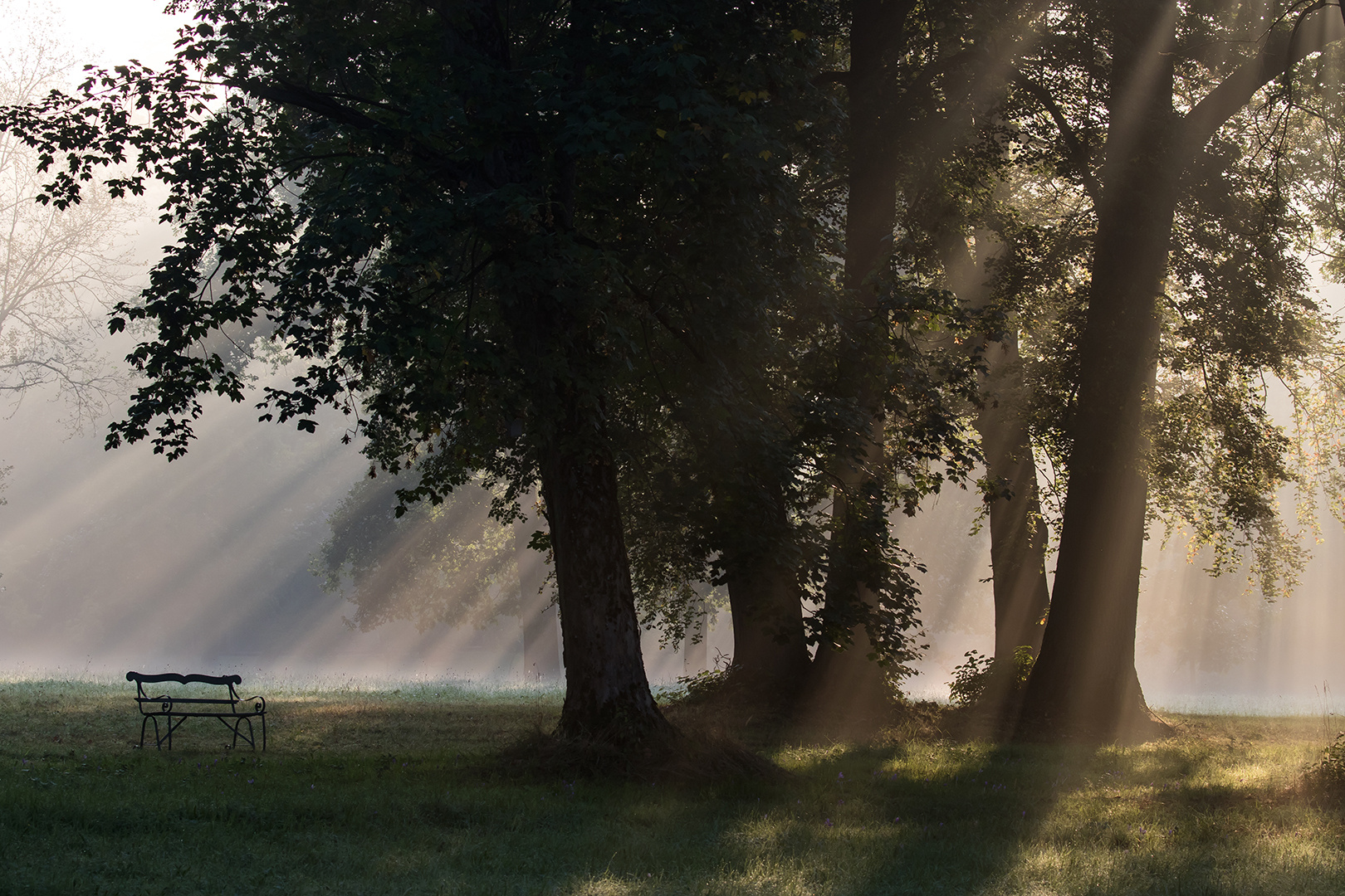 der Herbst ist da   - ich auch wieder