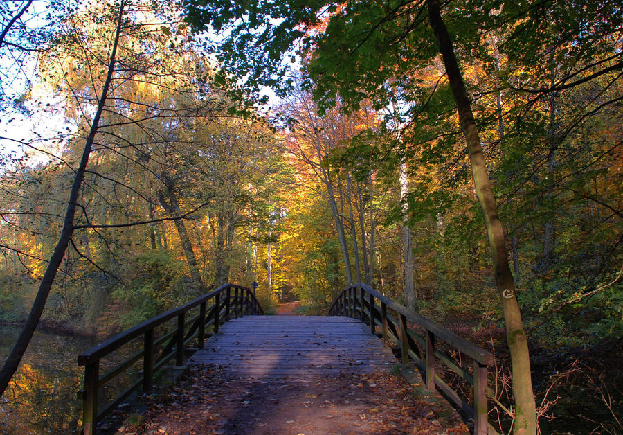 Der Herbst ist da! # Llegó el otoño